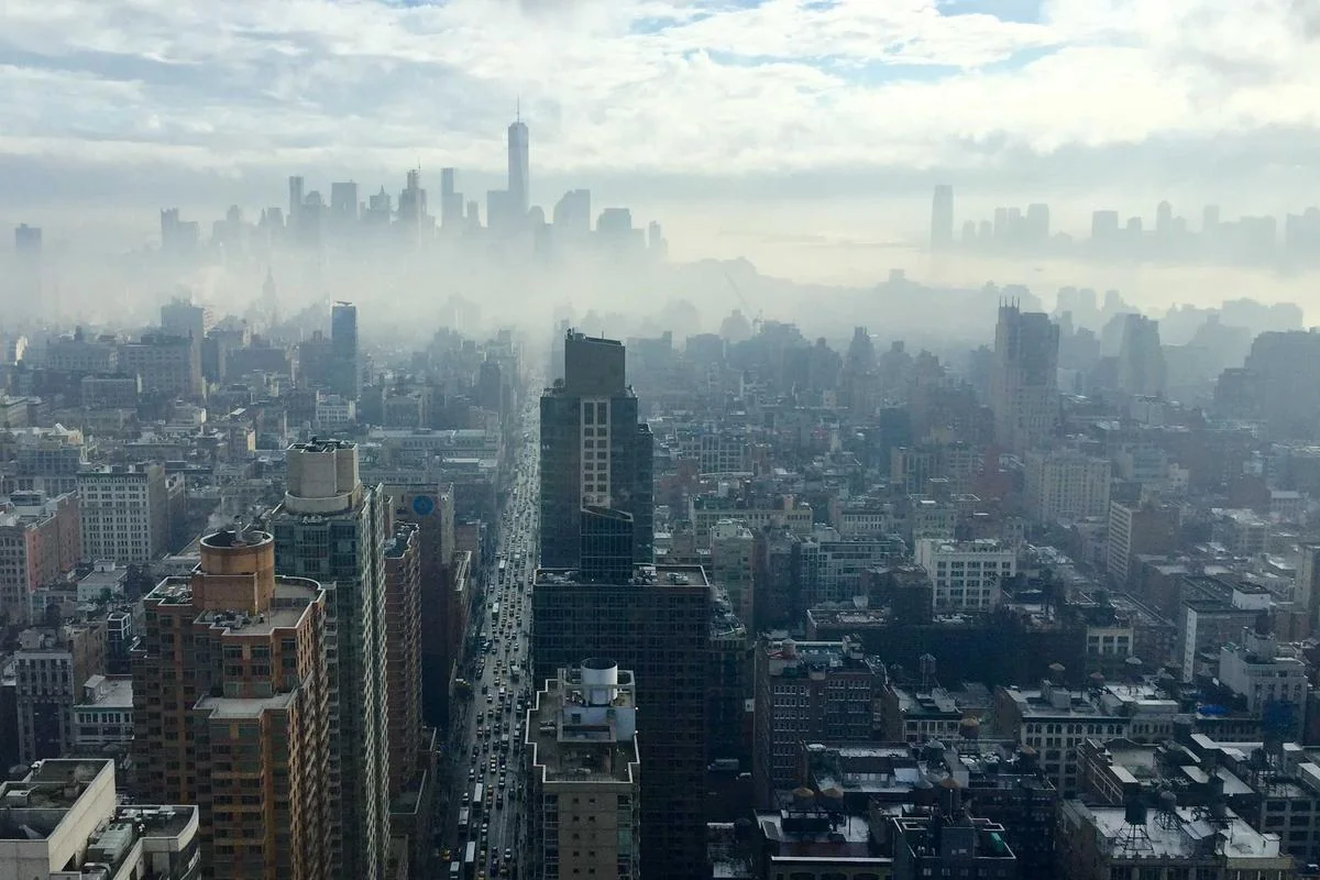 Why is the Big 6 called the Big 6 illustration and guide