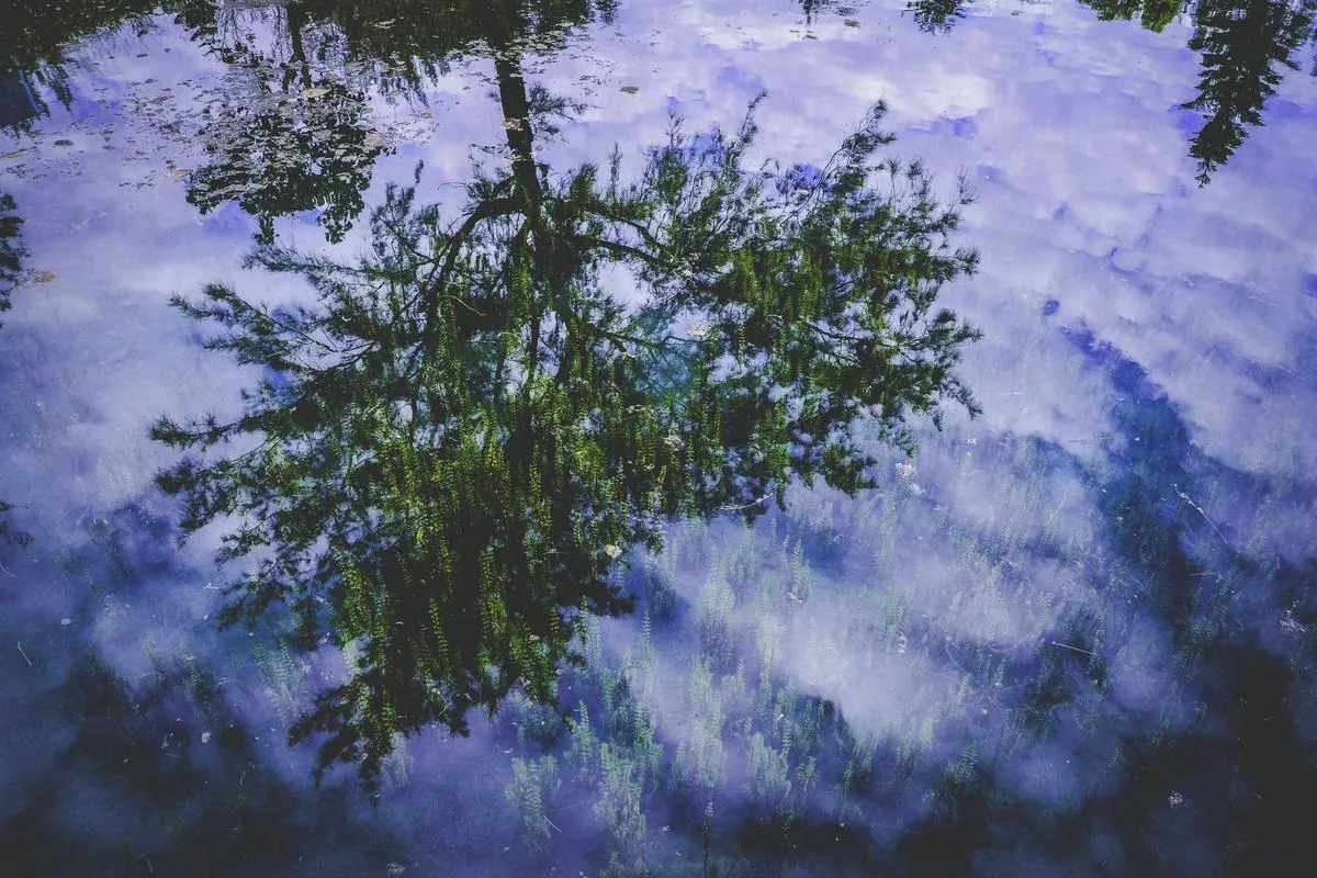 What is the biggest club in the world illustration and guide