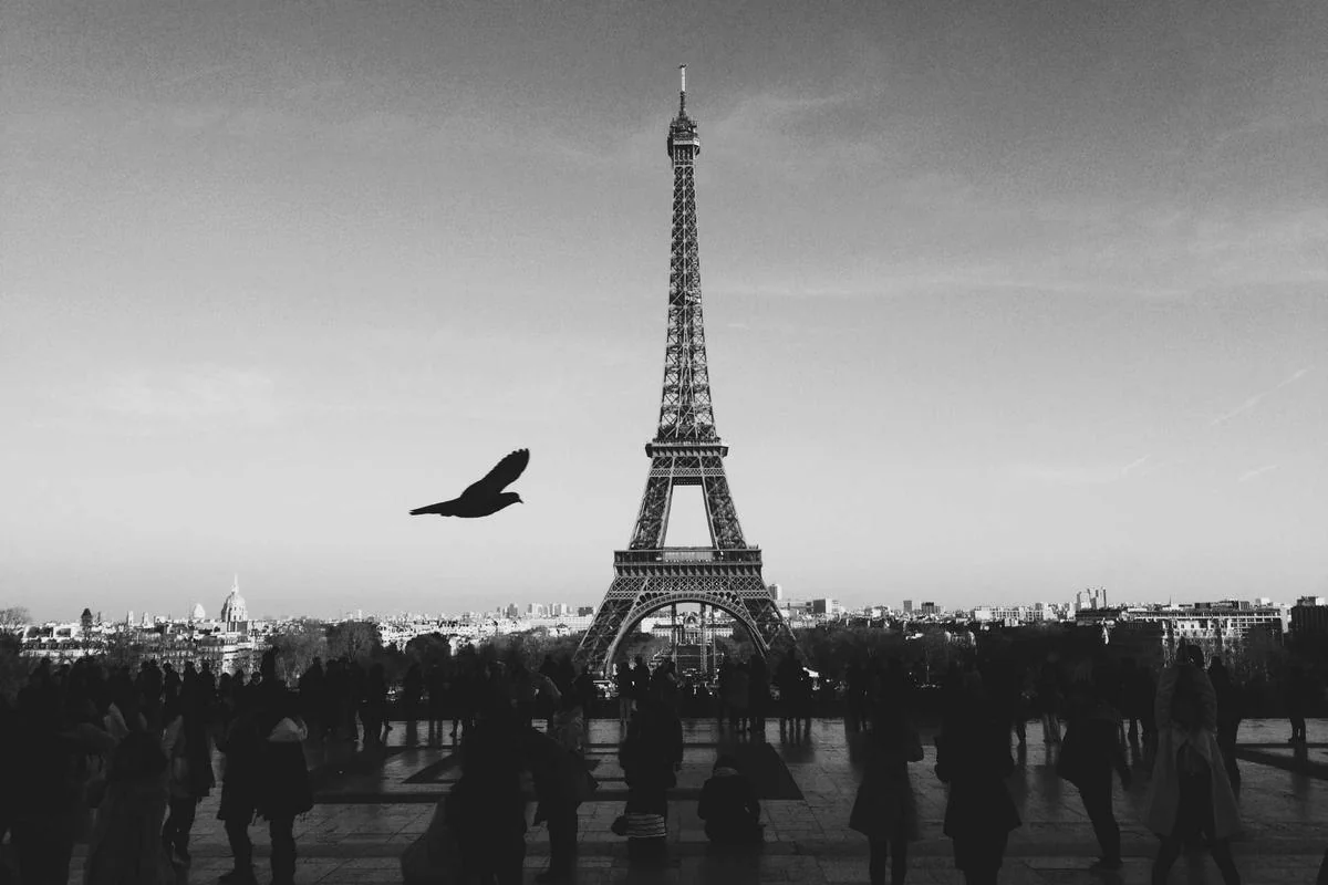 What is Man City net worth illustration and guide