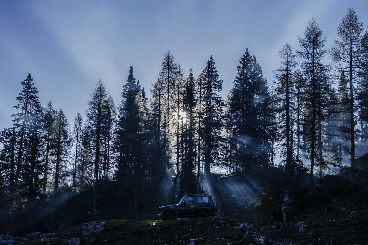 What is Man Citys nickname illustration and guide