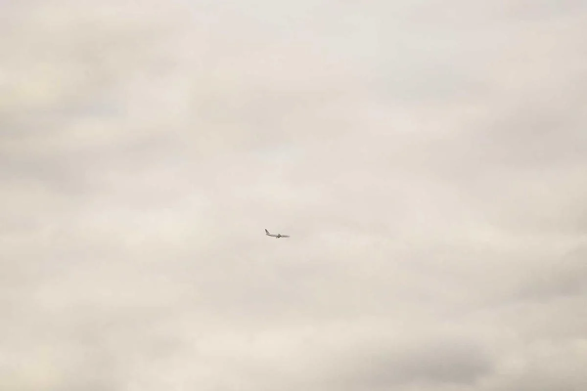 What is Man Citys nickname illustration and guide