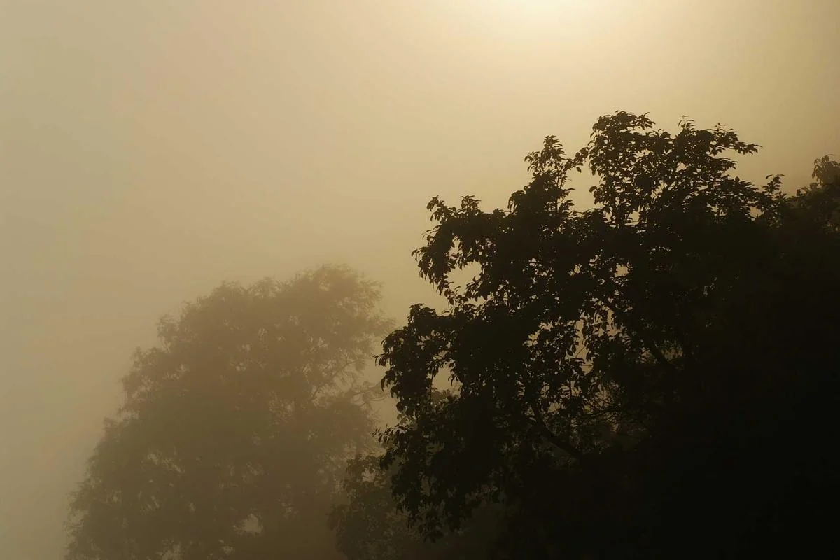 What is a number 6 in soccer illustration and guide