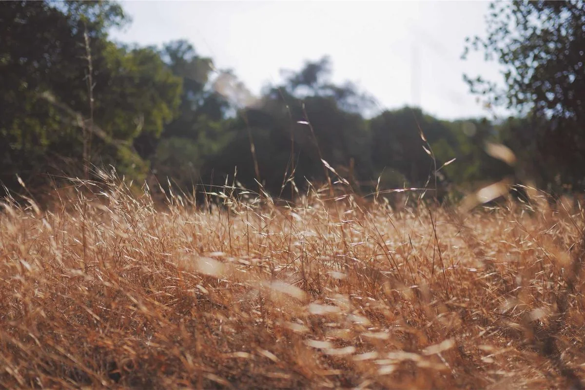 premier league fixtures saturday 7th march illustration and guide