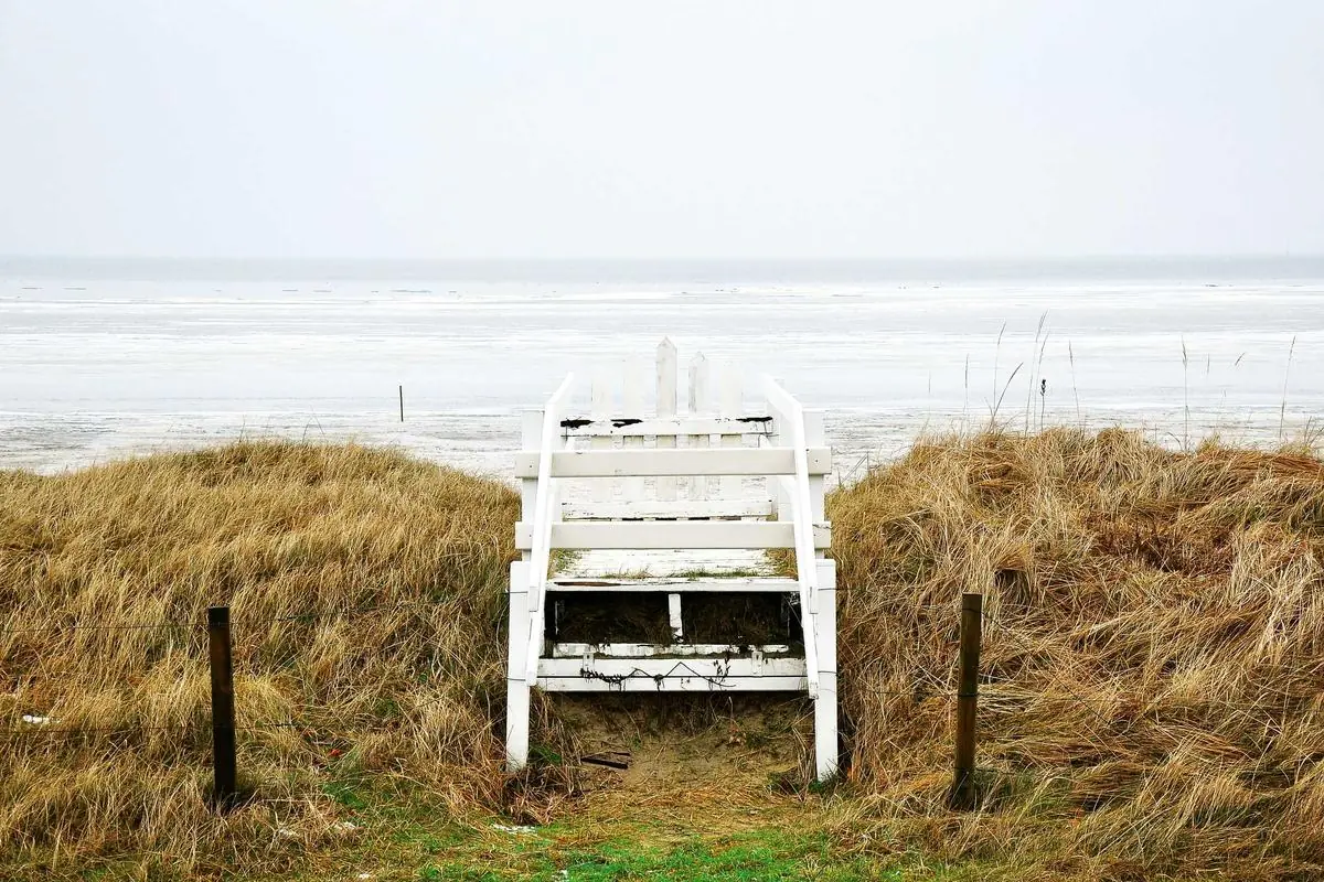 premier league fixtures saturday 13th december illustration and guide