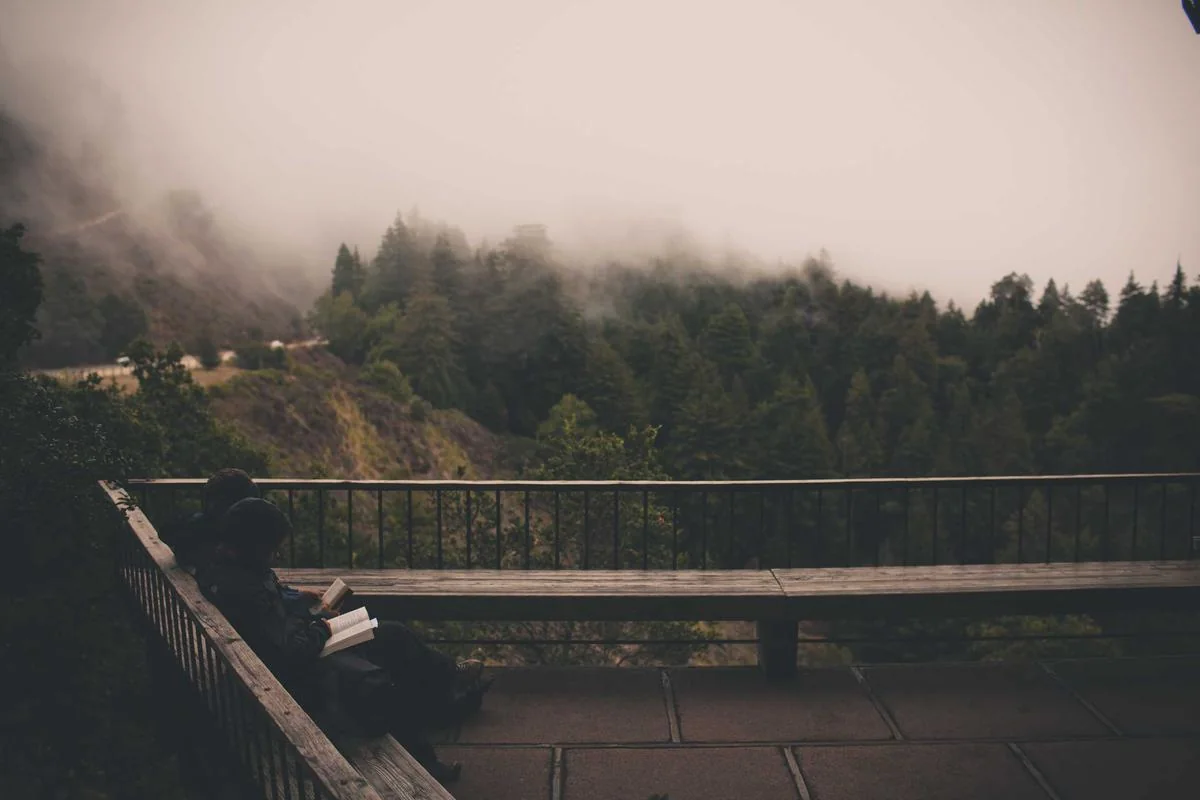 premier league top scorers illustration and guide