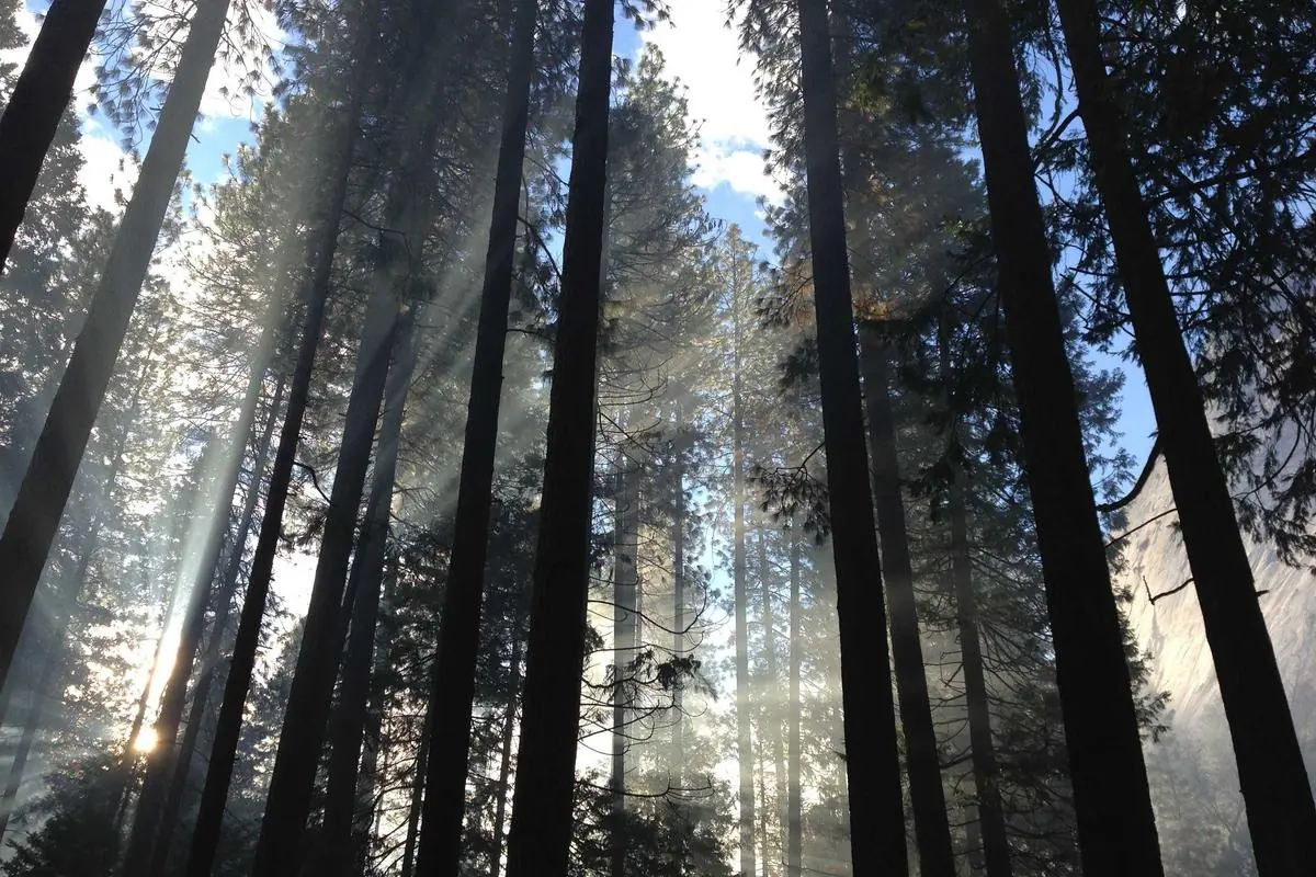 Which Club Has the Biggest Fan Base? 12 Fascinating Facts - Which club has the biggest fan base?