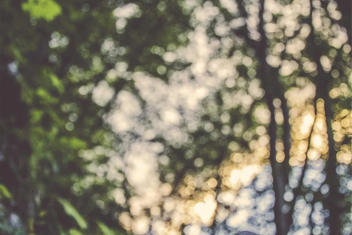 Who is the only English manager to win the Premier League illustration and guide